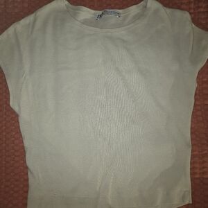 Light brown Zara crop tee